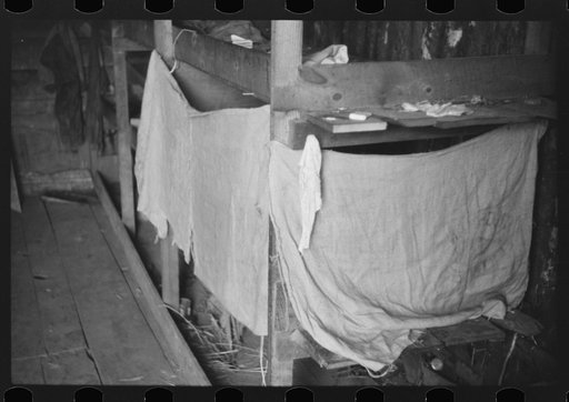 Untitled photo, possibly related to: Migratory agricultural workers at Picket's Landing, Virginia. Card games are frequent but money seldom used
