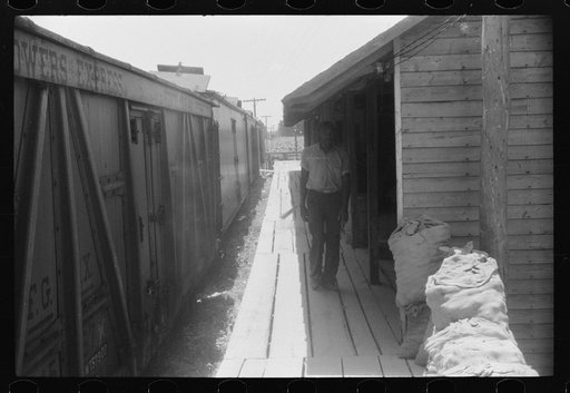 Untitled photo, possibly related to: Loading potatoes onto freight cars for shipment to the big cities of the north. Elizabeth City, North Carolina