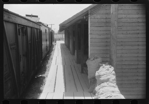 Untitled photo, possibly related to: Loading potatoes onto freight cars for shipment to the big cities of the north. Elizabeth City, North Carolina
