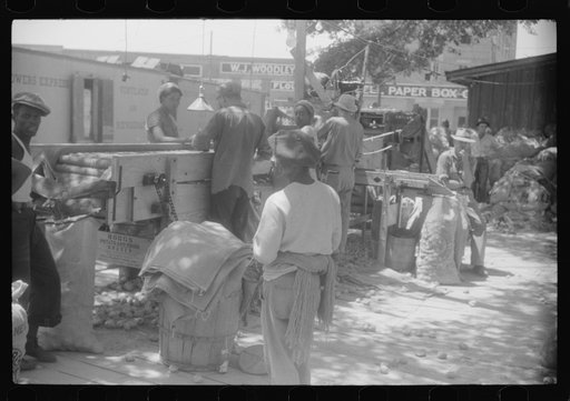 An outdoor potato grader using migratory labor. At the freight station in Elizabeth City, North Carolina