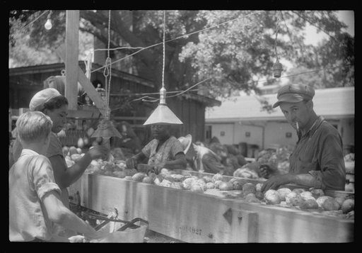 Untitled photo, possibly related to: An outdoor potato grader using migratory labor. At the freight station in Elizabeth City, North Carolina