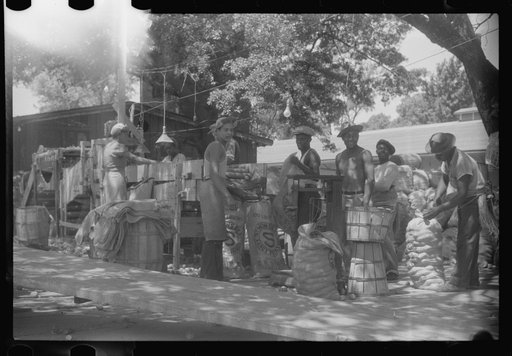 Untitled photo, possibly related to: An outdoor potato grader using migratory labor. At the freight station in Elizabeth City, North Carolina