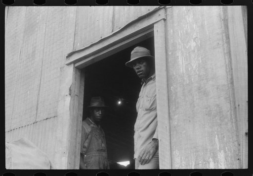 Untitled photo, possibly related to: Migratory agricultural workers at a grading station at Belcross, North Carolina