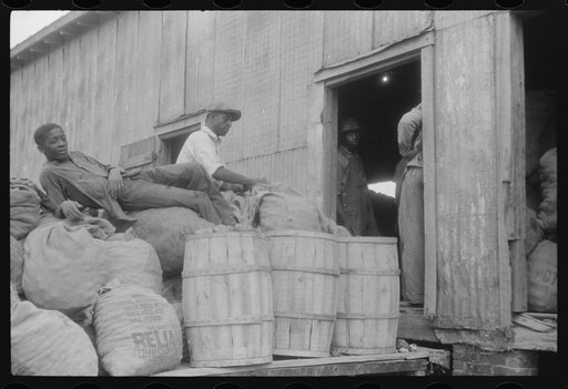 Migratory agricultural workers at a grading station at Belcross, North Carolina