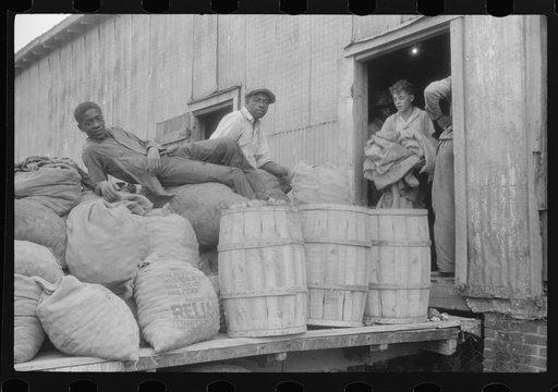 Untitled photo, possibly related to: Migratory agricultural workers at a grading station at Belcross, North Carolina
