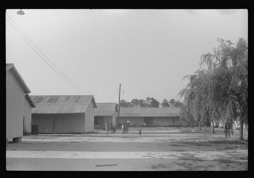 Untitled photo, possibly related to: Living quarters for migratory agricultural workers at Webster Canning Company, Cheriton, Virginia
