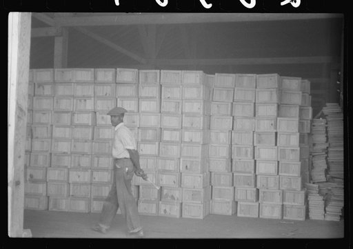 Inside the Webster Canning Company, Cheriton, Virginia. The boxes are made here for packing canned goods