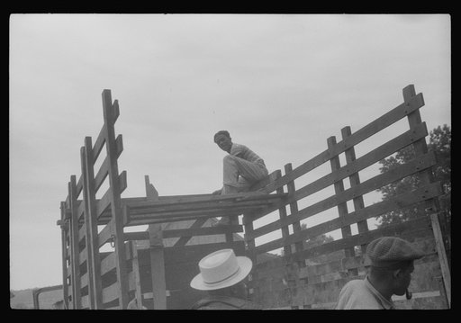Migrants getting truck ready to leave Belcross, North Carolina for Onley, Virginia