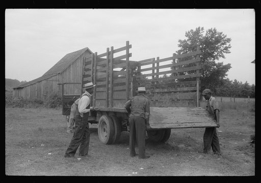 Migrants getting truck ready to leave Belcross, North Carolina for Onley, Virginia