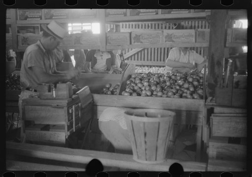 Untitled photo, possibly related to: Florida tomato wrappers at work in Kings Creek Packing Company, Kings Creek, Maryland
