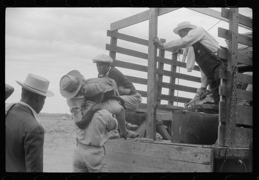 Florida migrants getting aboard the truck which will take them from Belcross, North Carolina to another job at Onley, Virginia