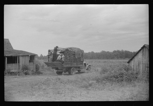 Truckload of migratory agricultural workers leaving Belcross, North Carolina for another job in Onley, Virginia
