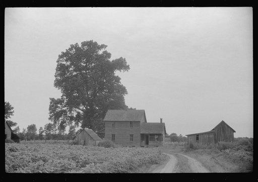 Empty farmhouse that was occupied by thirty-five migratory agricultural workers from Florida. Near Belcross, North Carolina