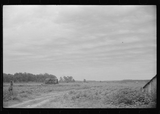 Truckload of migratory agricultural workers leaving Belcross, North Carolina for another job at Onley, Virginia