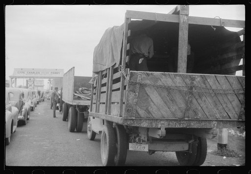 Untitled photo, possibly related to: Florida migratory workers at the Norfolk end of the Norfolk-Cape Charles Ferry. They are on their way with the rest of the occupants of the truck to pick potatoes and onions at Onley, Virginia