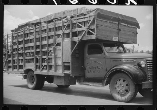 A truckload of chickens at a truck service station on U.S. 1 (New York Avenue) Washington, D.C.