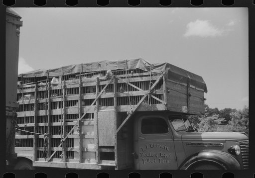 Untitled photo, possibly related to: A truckload of chickens at a truck service station on U.S. 1 (New York Avenue) Washington, D.C.