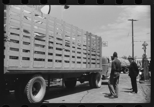 Untitled photo, possibly related to: A truckload of chickens at a truck service station on U.S. 1 (New York Avenue) Washington, D.C.