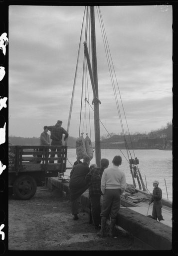 Boys watching the unloading of Long Island potatoes from a boat on the Norwich, Connecticut riverfront