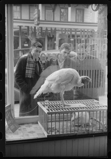 A butcher shop window. Norwich, Connecticut