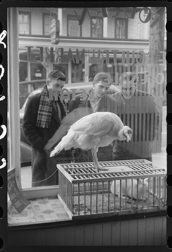 Untitled photo, possibly related to: A butcher shop window. Norwich, Connecticut