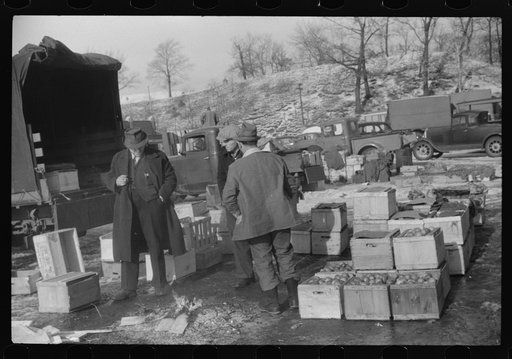 Untitled photo, possibly related to: Farmer at the Governor Dyer market keeping warm around a fire, Providence, Rhode Island