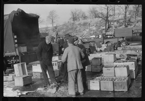 Untitled photo, possibly related to: Farmer at the Governor Dyer market keeping warm around a fire, Providence, Rhode Island