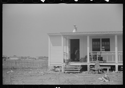 Untitled photo, possibly related to: Cow watching her owners move into their new prefabricated house from the Camp Croft area. Pacolet, South Carolina