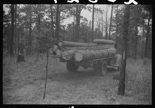 Hauling lumber, Heard County, Georgia