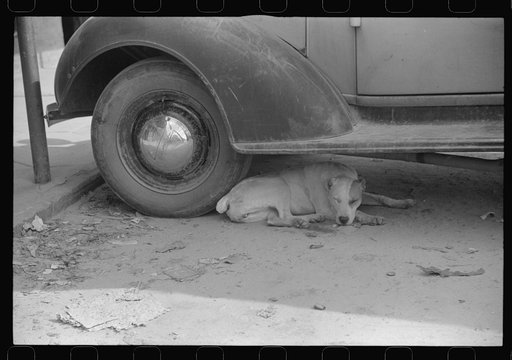 Untitled photo, possibly related to: Franklin, Heard County, Georgia