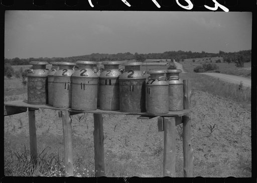 Untitled photo, possibly related to: Milk cans along the road near Greensboro, Alabama