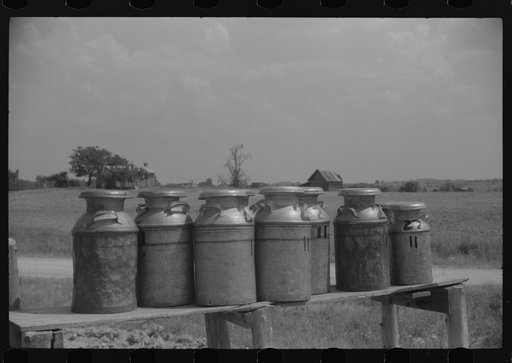 Untitled photo, possibly related to: Milk cans along the road near Greensboro, Alabama