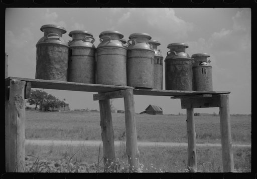 Milk cans along the road near Greensboro, Alabama
