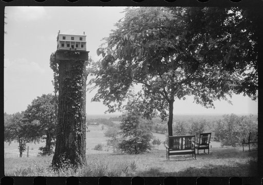 Birdhouse and landscape at an old plantation home near Eutaw, Alabama