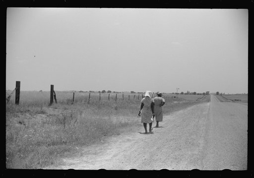 On a road near Eutaw, Alabama