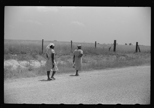 Untitled photo, possibly related to: On a road near Eutaw, Alabama