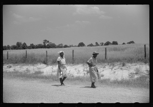 Untitled photo, possibly related to: On a road near Eutaw, Alabama