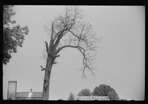 Untitled photo, possibly related to: A religious arbor in Eutaw, Alabama