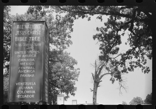 Untitled photo, possibly related to: A religious arbor in Eutaw, Alabama