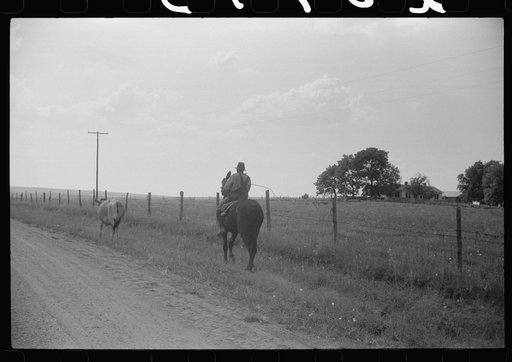 Untitled photo, possibly related to: Negro cowhand in Hale County, Alabama