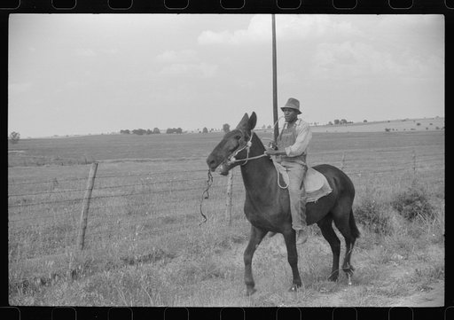 Negro cowhand in Hale County, Alabama
