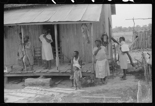 Untitled photo, possibly related to: Negro tenant family near Greensboro, Alabama