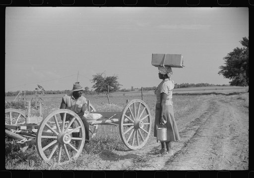 Along a road near Greensboro, Alabama
