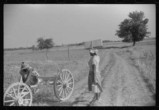 Untitled photo, possibly related to: Along a road near Greensboro, Alabama