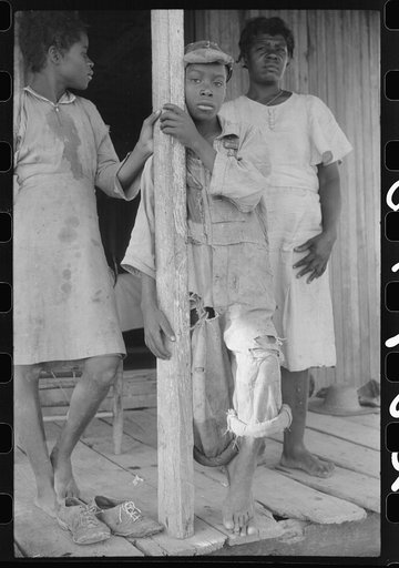 Untitled photo, possibly related to: Part of a Negro tenant family, on a farm near Greensboro, Alabama