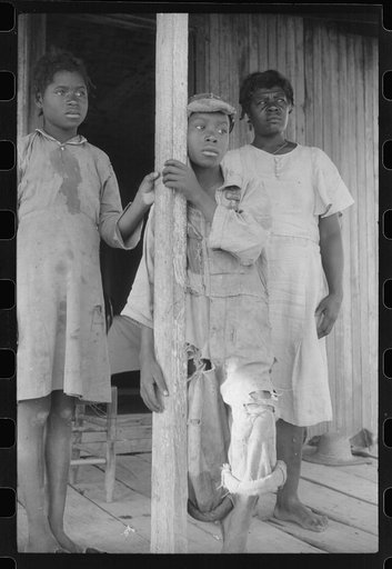 Part of a Negro tenant family on a farm near Greensboro, Alabama