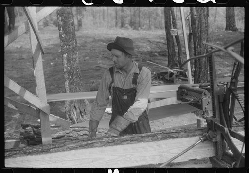 Untitled photo, possibly related to: A sawmill worker at a small sawmill works in southern Greene County, Georgia