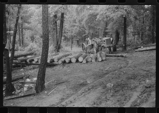 Untitled photo, possibly related to: Bringing in the logs at a small sawmill works in southern Greene County, Georgia