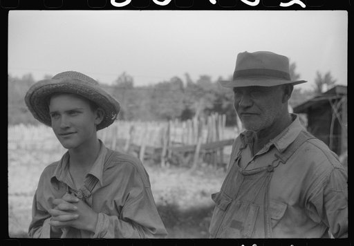 Untitled photo, possibly related to: The sons of Mr. E.A. Marcus, FSA (Farm Security Administration) borrower, near Woodville, Green County, Georgia