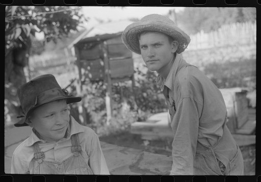 The sons of Mr. E.A. Marcus, FSA (Farm Security Administration) borrower, near Woodville, Green County, Georgia